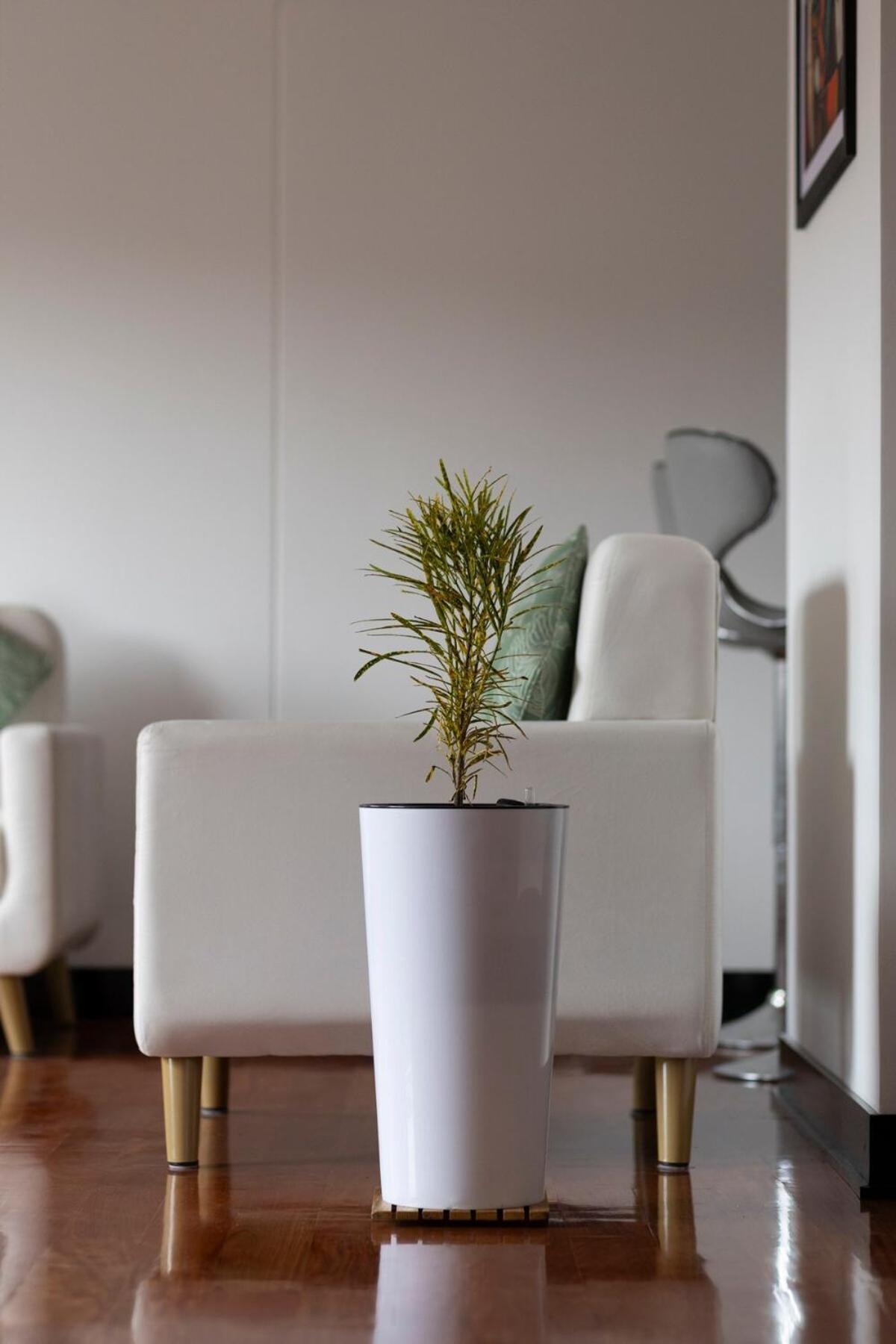 Modern - 10 Min To Center Apartment Cusco